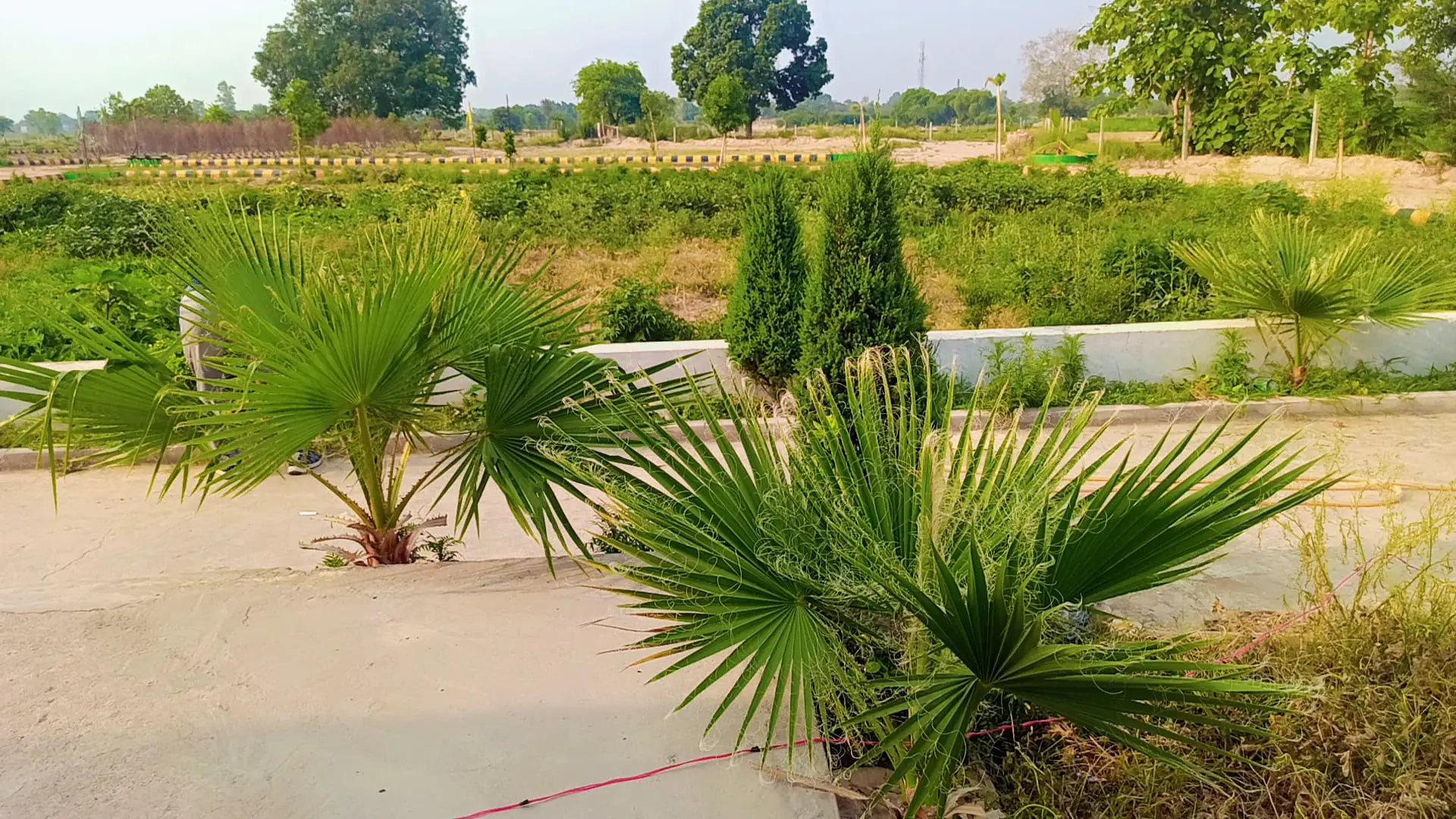 Garden Ganj Green Park Lucknow